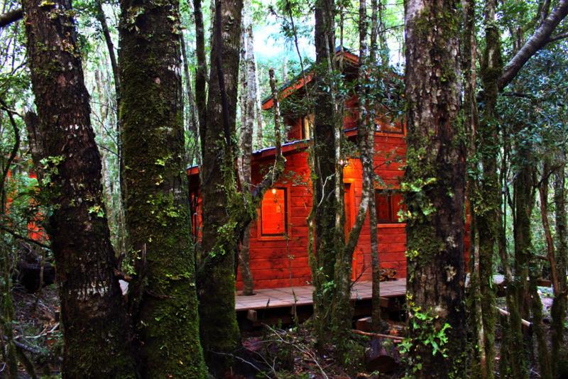 cabanas en conaripe bosque milenario 1